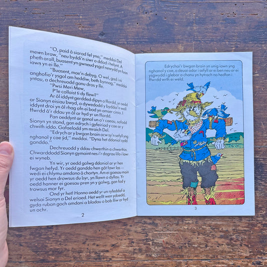 Y Bwgan Brain - Cyfres Sionyn - 1982 (Preloved)