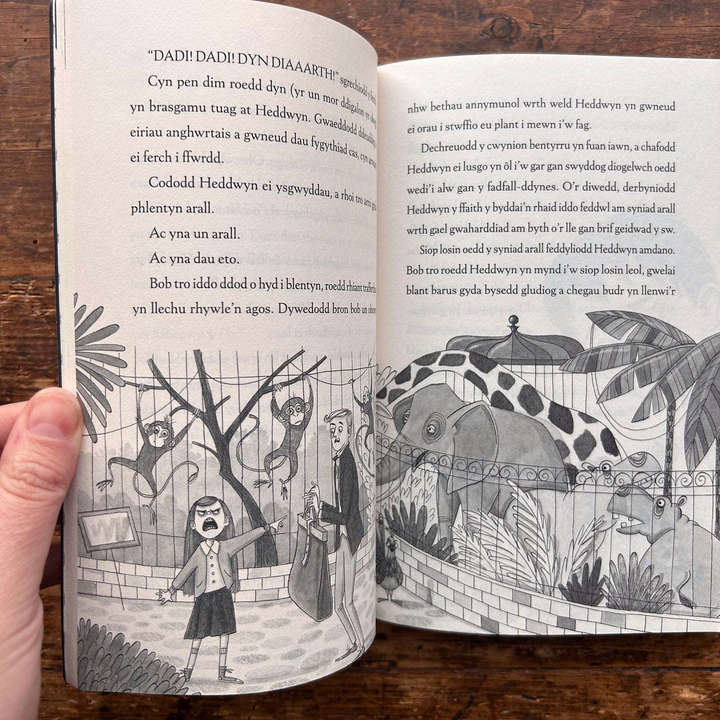 Y Bwystfil a'r Betsan - Jack Meggitt-Phillips (Preloved)