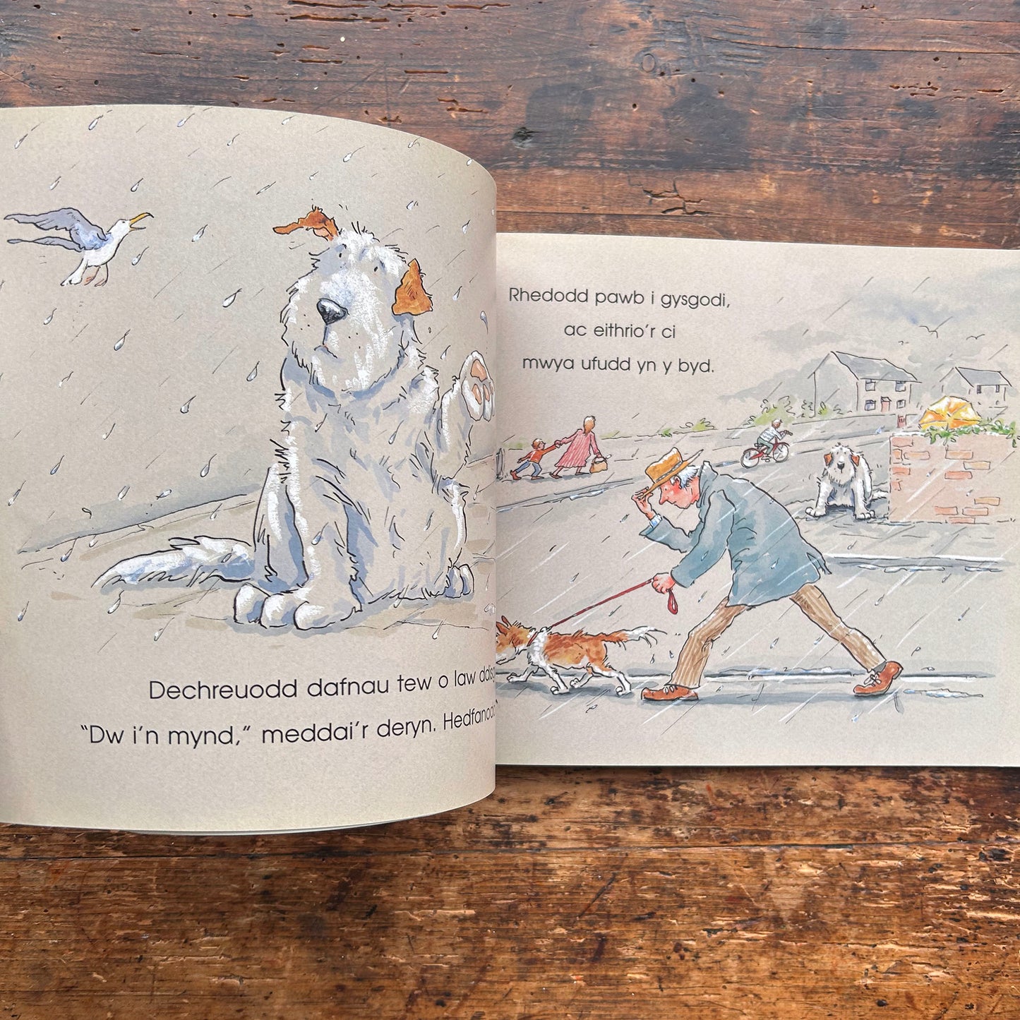 Y Ci Mwya Ufudd Yn y Byd - 1995 (Preloved)