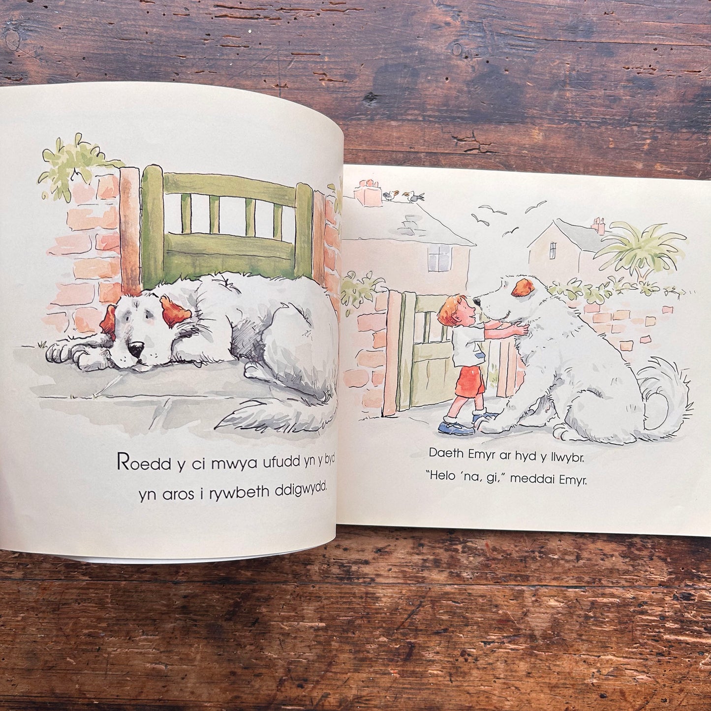 Y Ci Mwya Ufudd Yn y Byd - 1995 (Preloved)