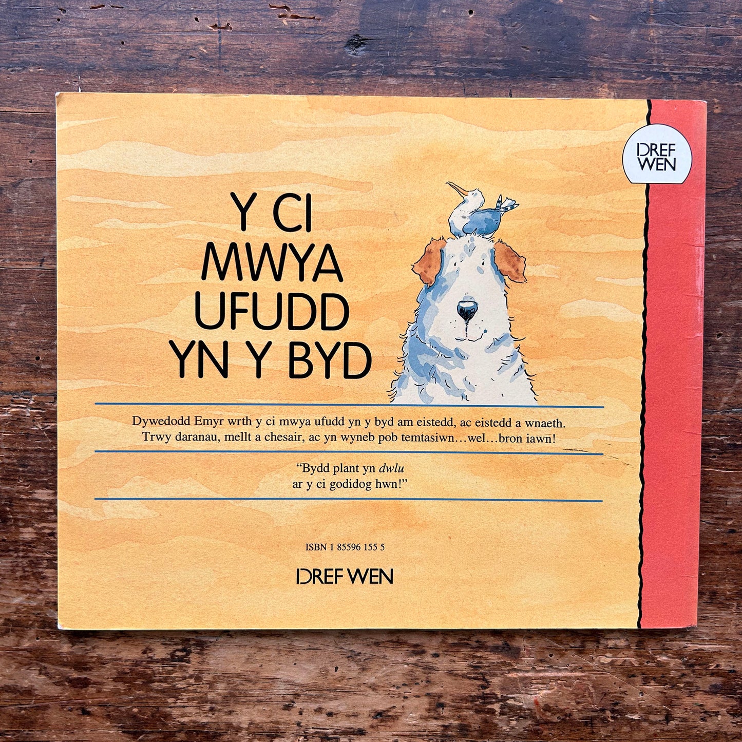 Y Ci Mwya Ufudd Yn y Byd - 1995 (Preloved)