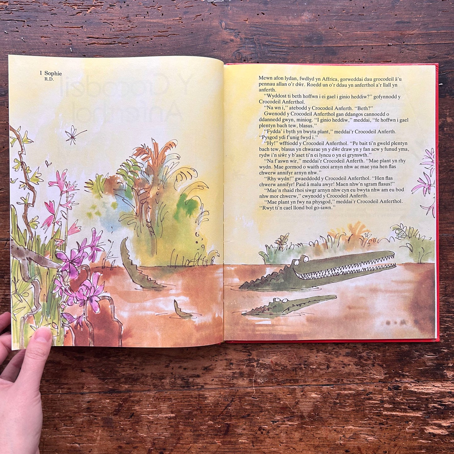 Y Crocodeil Anferthol - Roald Dahl 1989 (Preloved)