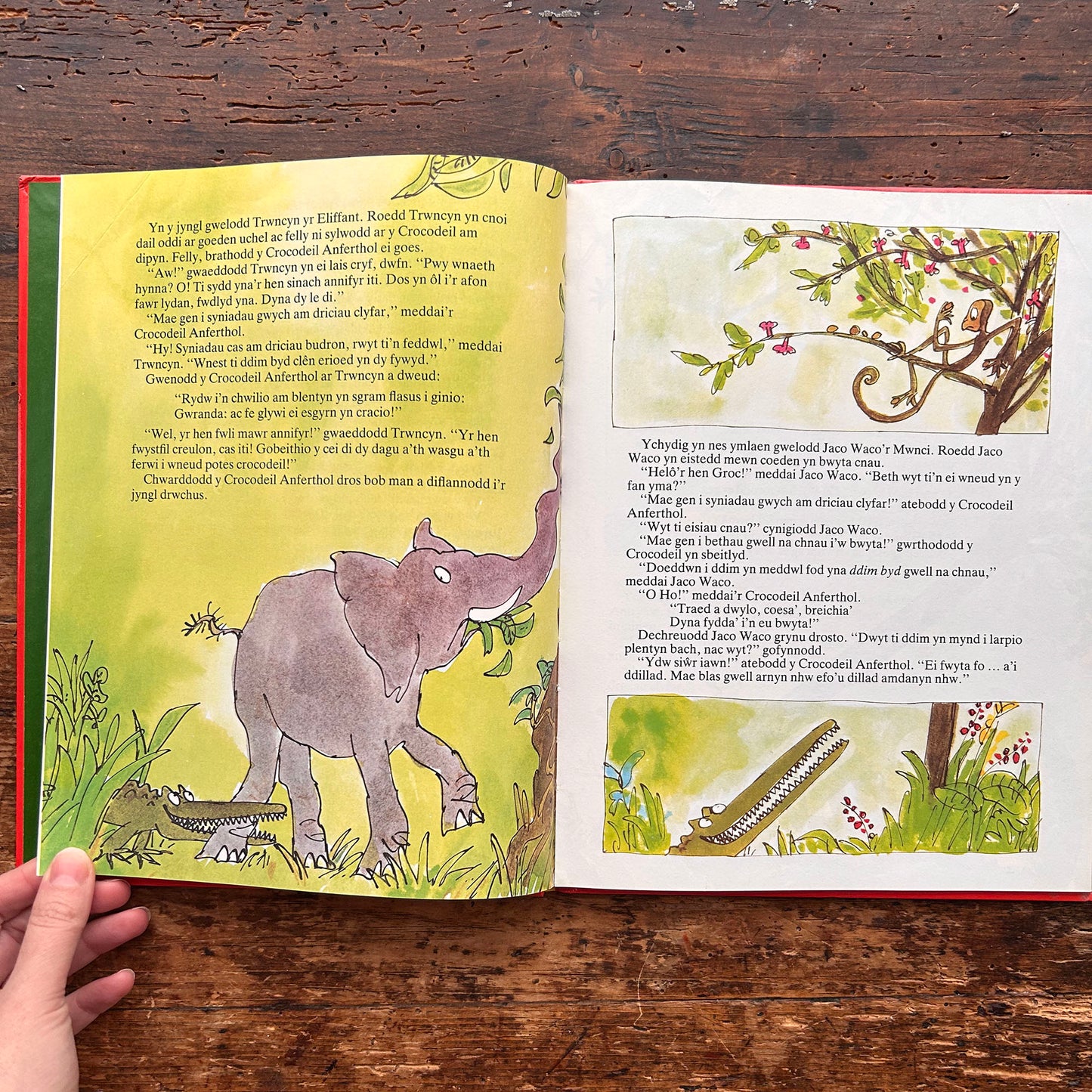 Y Crocodeil Anferthol - Roald Dahl 1989 (Preloved)