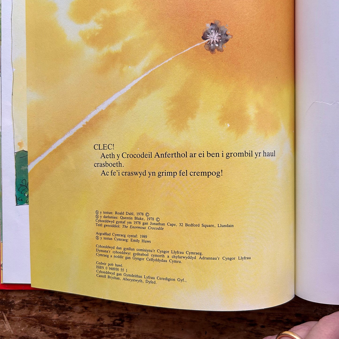 Y Crocodeil Anferthol - Roald Dahl 1989 (Preloved)