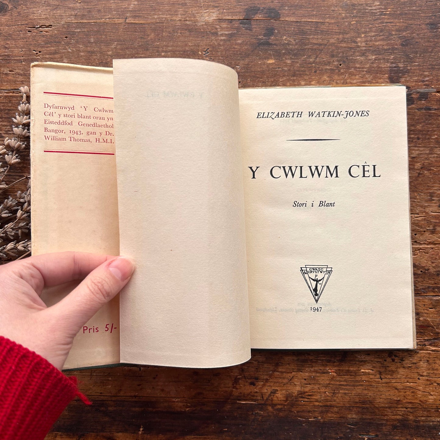 Y Cwlwm Cêl - Elizabeth Watkin-Jones - 1954 (Preloved)