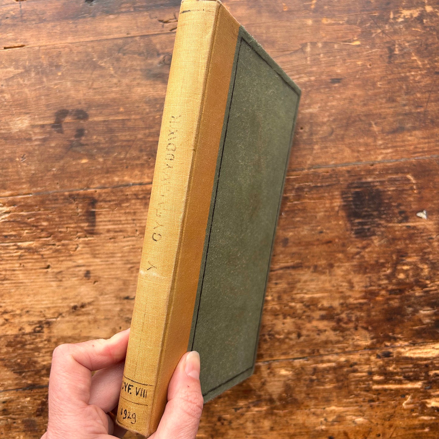 William Jones - Nofel Gan T. Rowland Hughes - 1951 (Rhag-gariad)