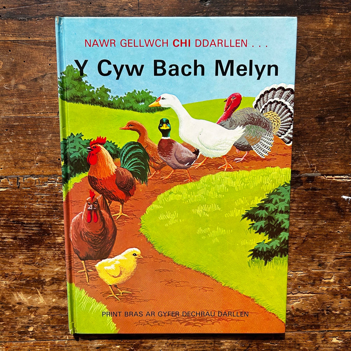 Y Cyw Bach Melyn - Nawr Gellwch Chi Ddarllen - Vintage - 1982 (Preloved)