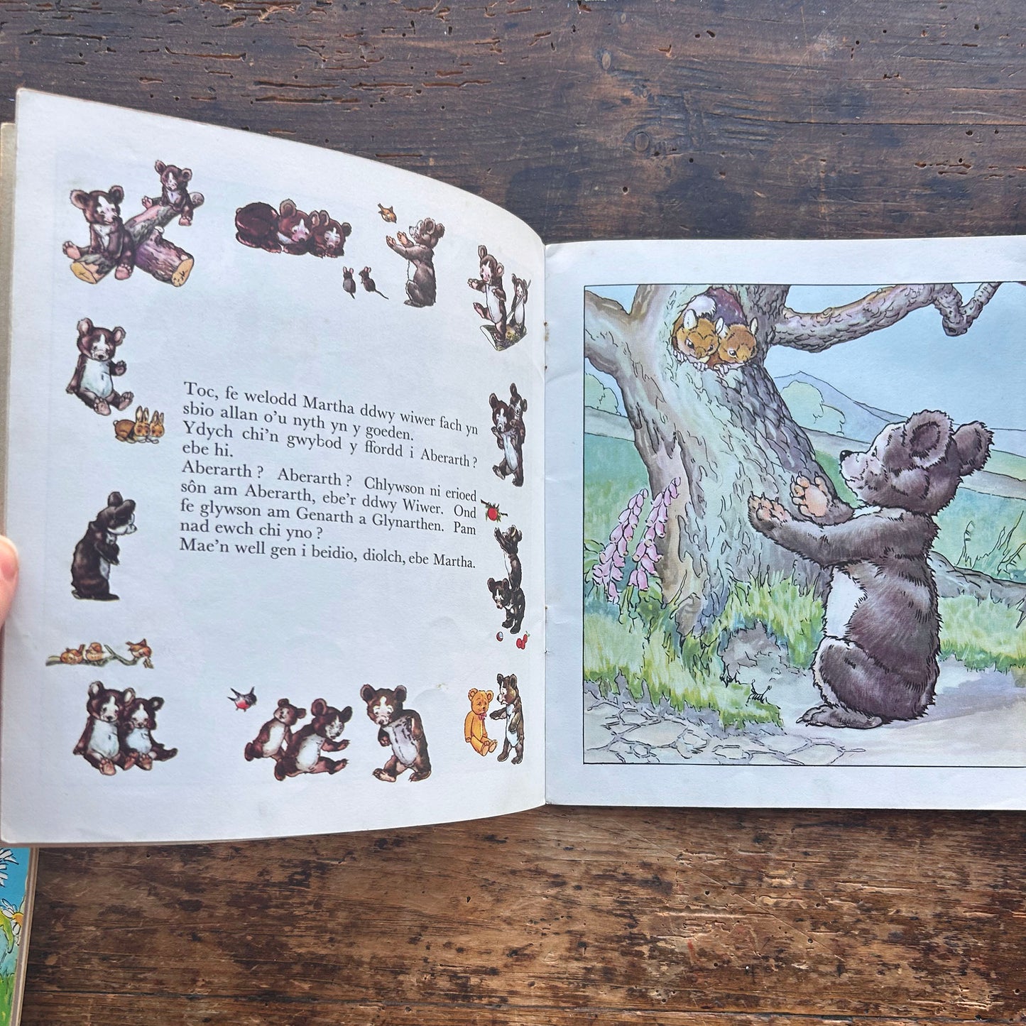 Y Ddau Arth o Lanarthne - Cyfres y Frân Wen - 19 (Preloved)