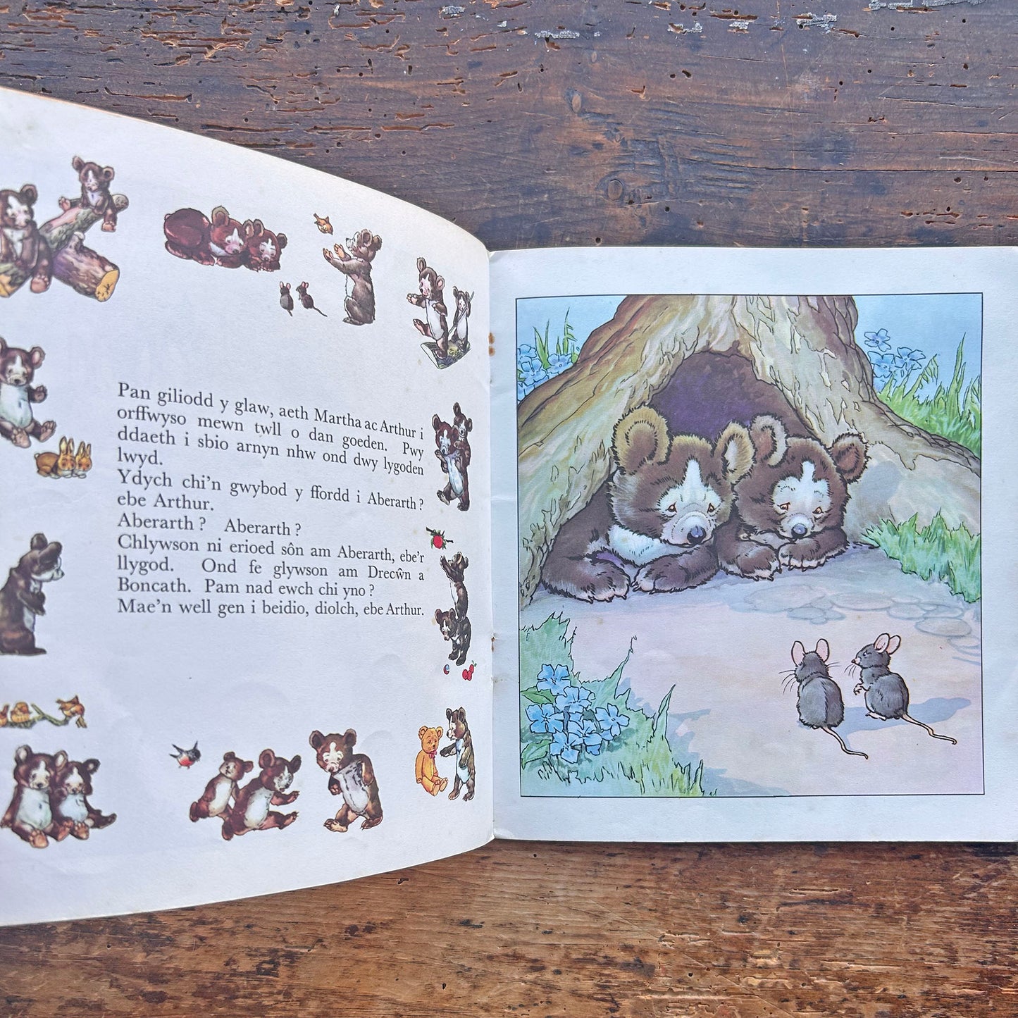 Y Ddau Arth o Lanarthne - Cyfres y Frân Wen - 19 (Preloved)