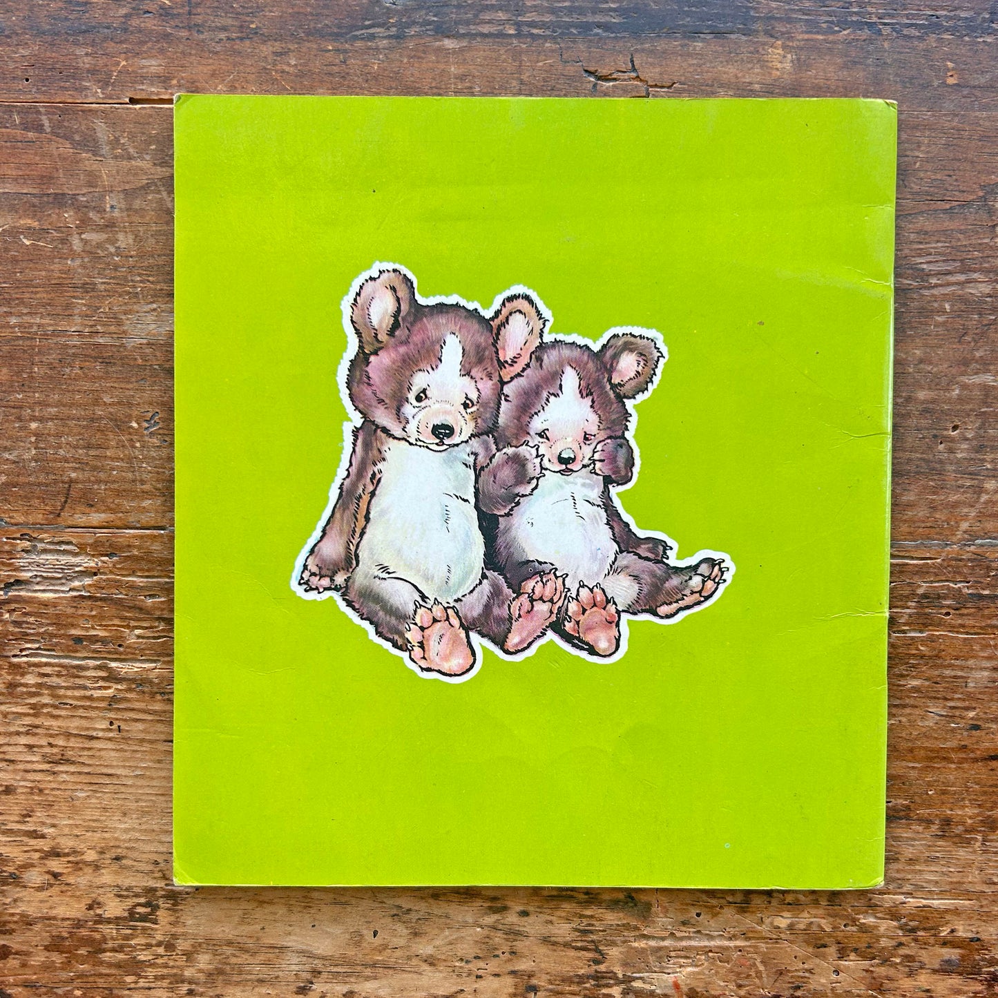 Y Ddau Arth o Lanarthne - Cyfres y Frân Wen - 19 (Preloved)