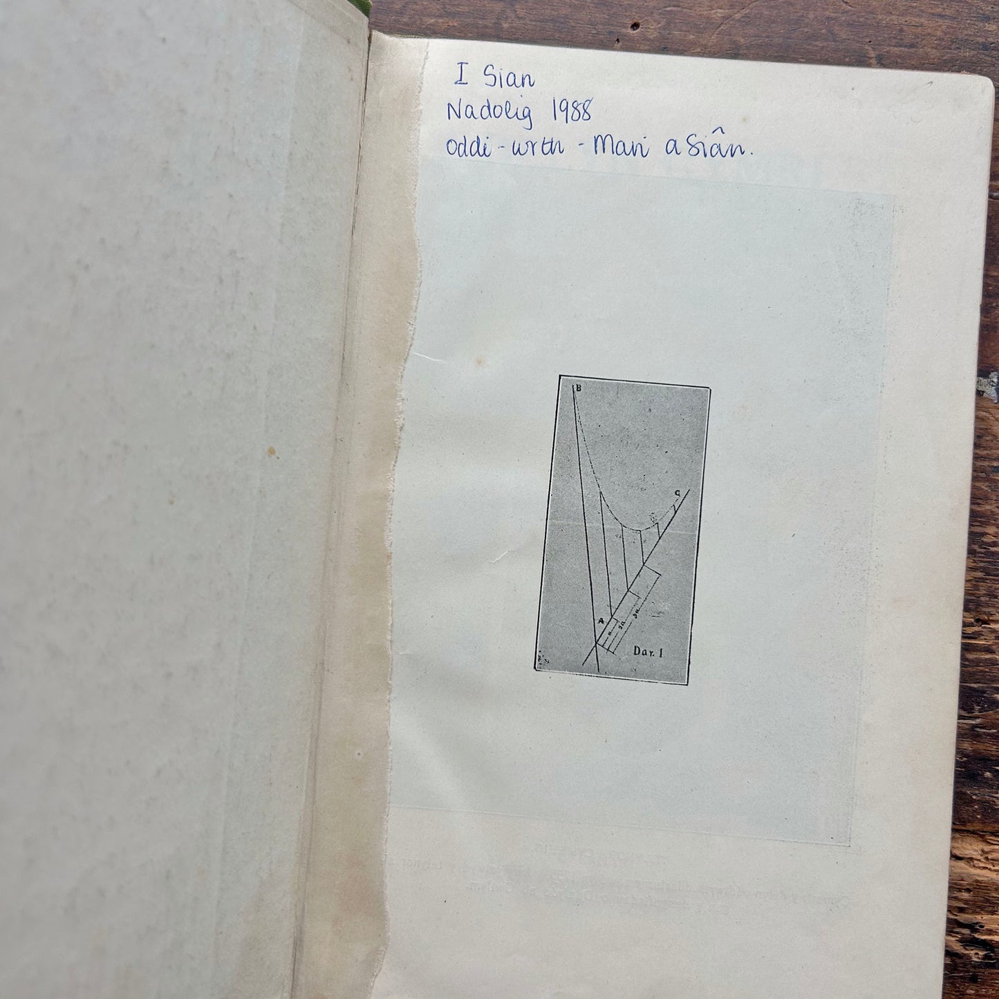 Y Delyn Gymreig - Y Delyn Gymreig - 1913 (Preloved)