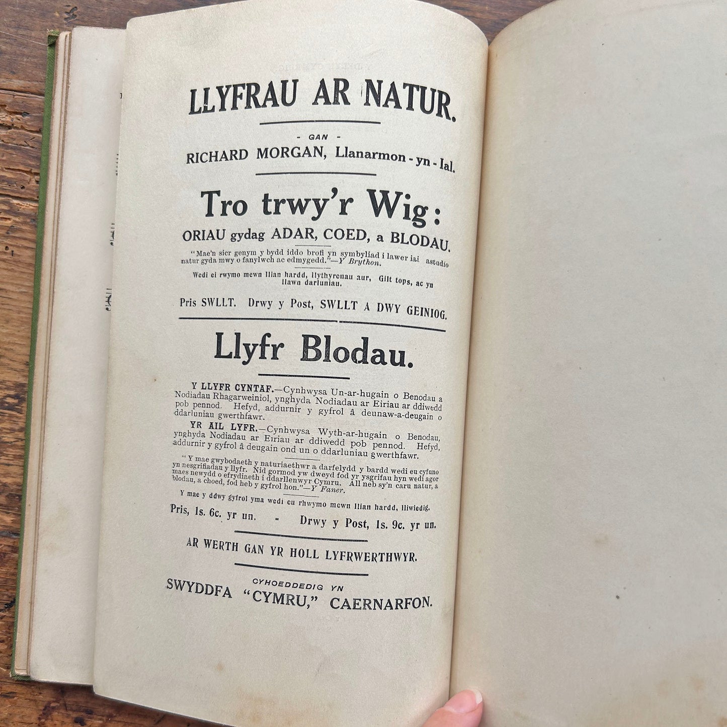 Y Delyn Gymreig - Y Delyn Gymreig - 1913 (Preloved)