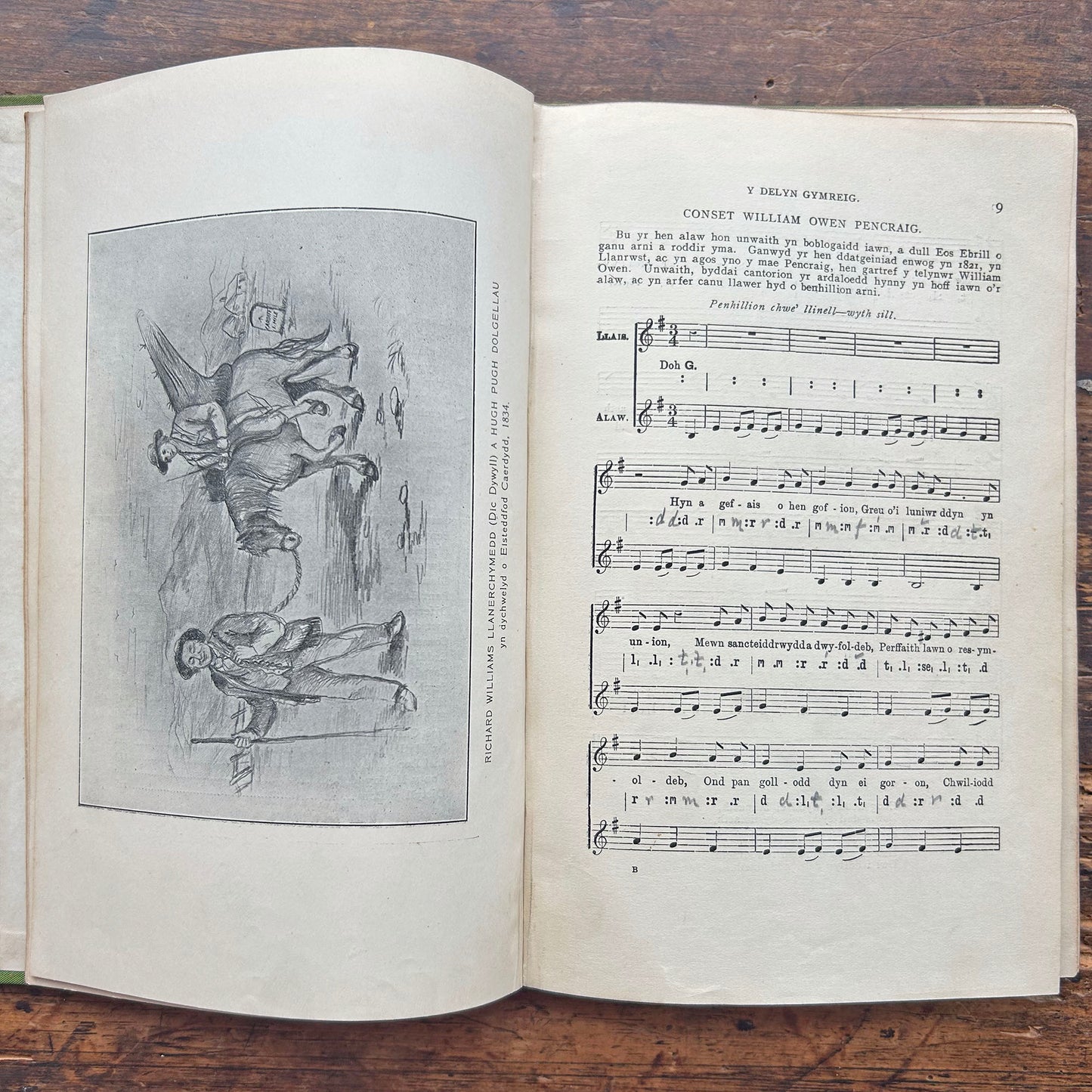 Y Delyn Gymreig - Y Delyn Gymreig - 1913 (Preloved)