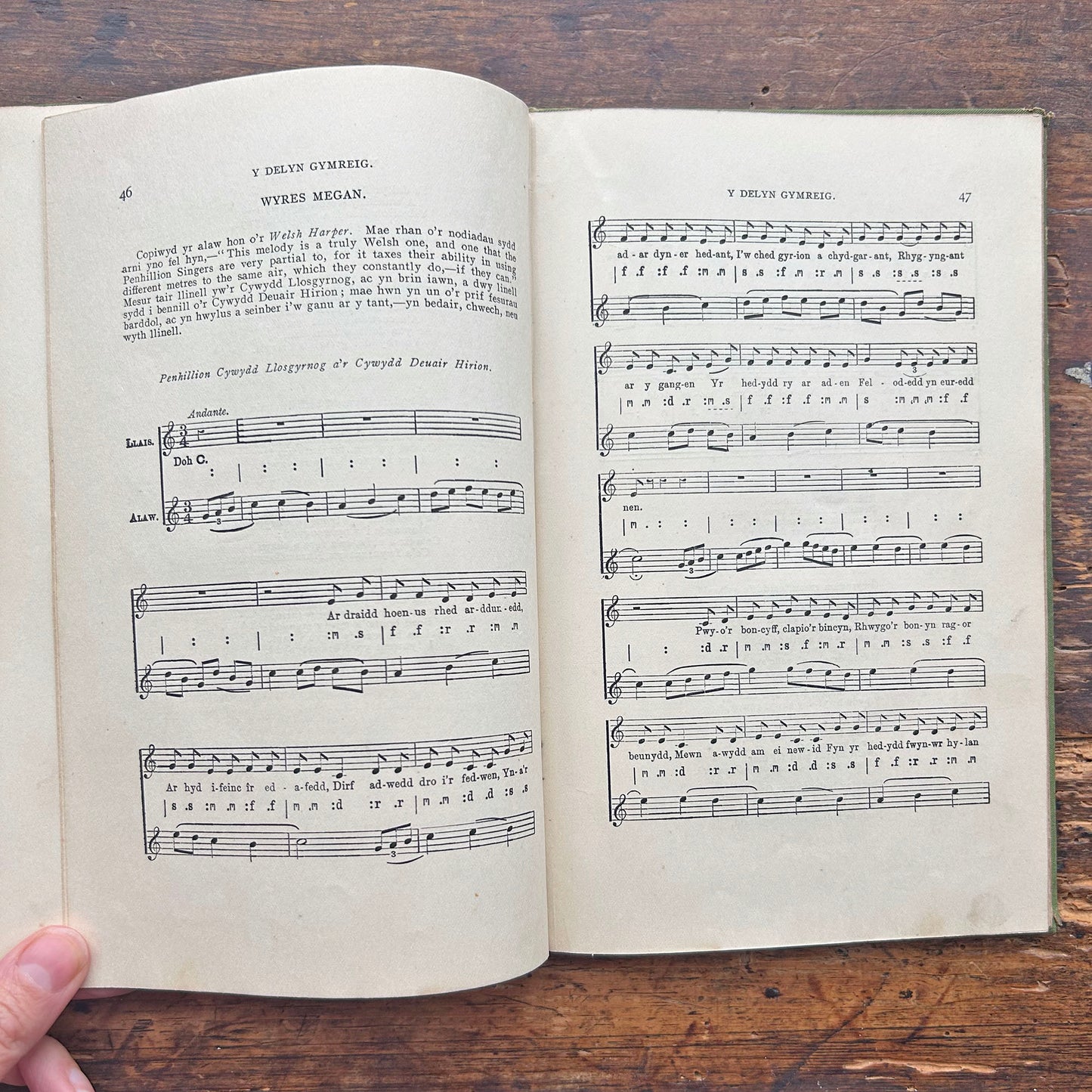 Y Delyn Gymreig - Y Delyn Gymreig - 1913 (Preloved)