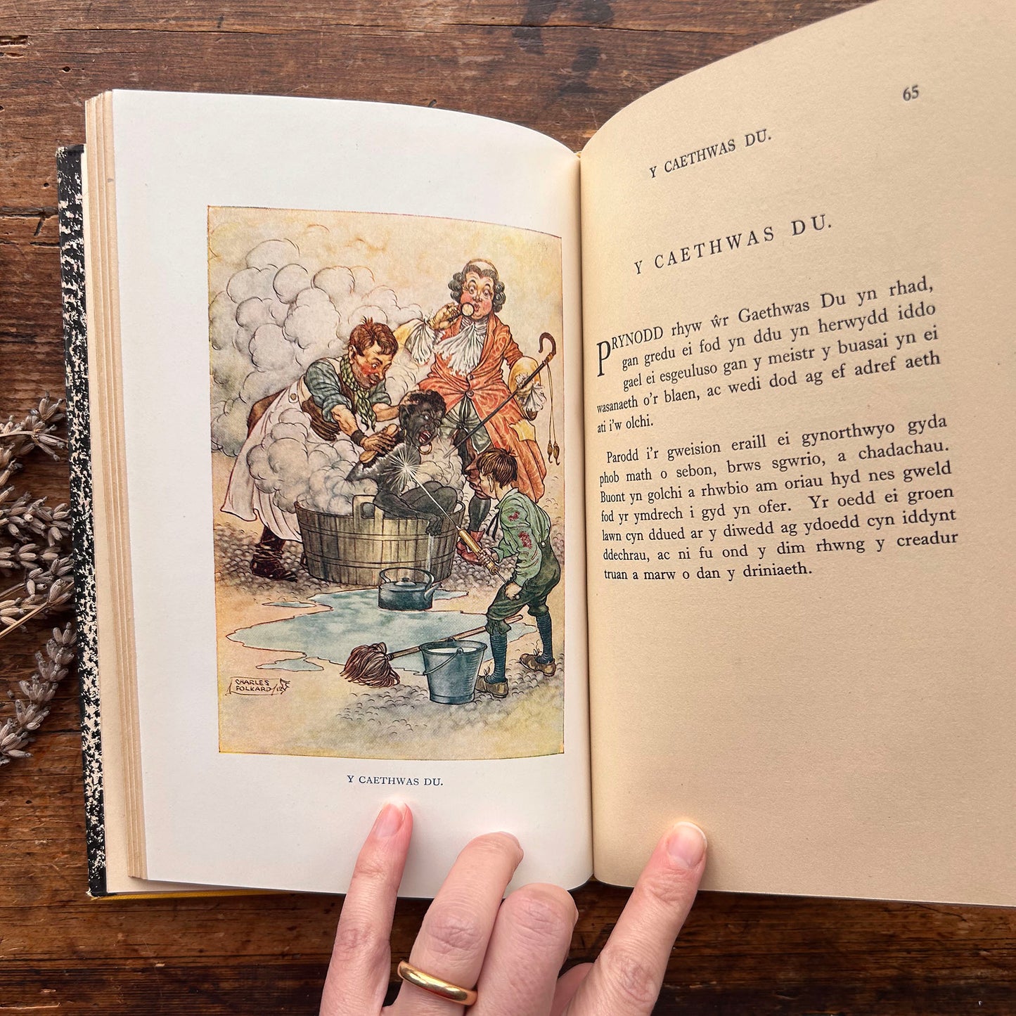 Y Deryn Glas - A Storiau Eraill - Dyfnallt (Preloved)