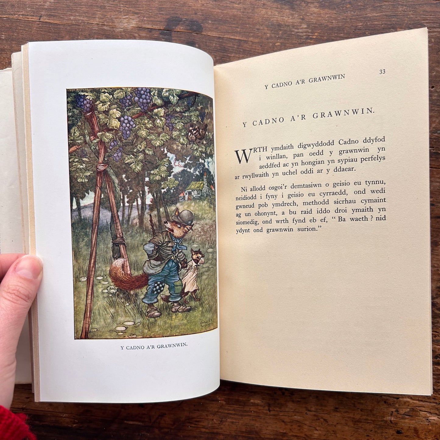 Y Deryn Glas - A Storiau Eraill - Dyfnallt (Preloved)