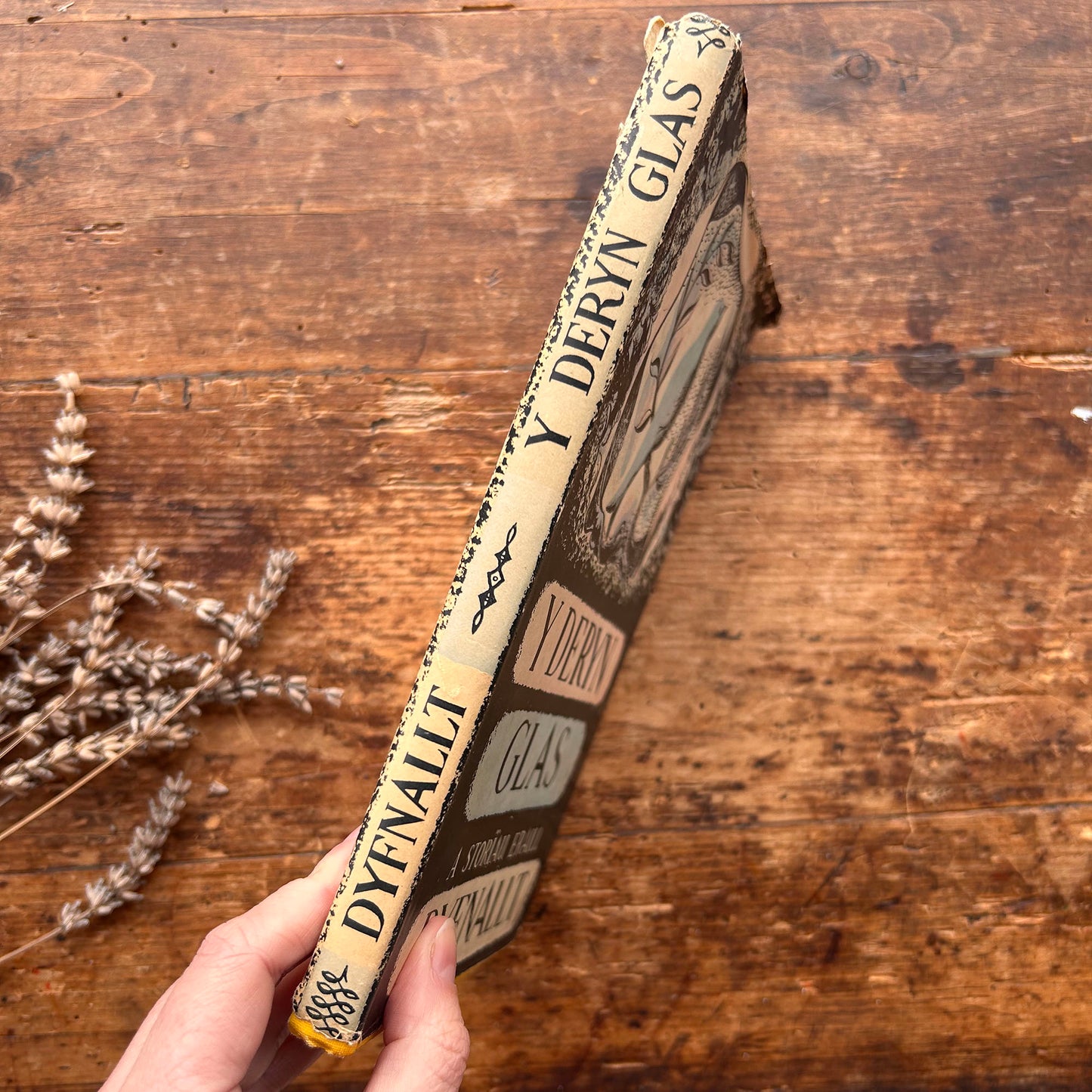 Y Deryn Glas - A Storiau Eraill - Dyfnallt (Preloved)