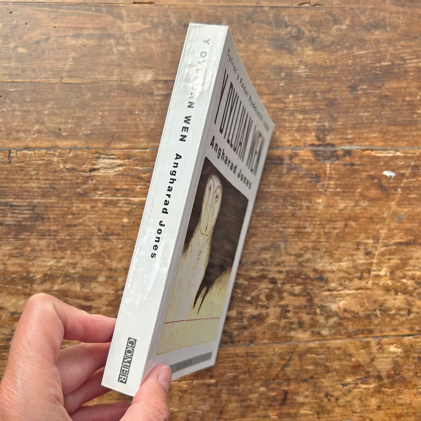 Y Dylluan Wen - Angharad Jones - 1st ed'n. (annwyl)