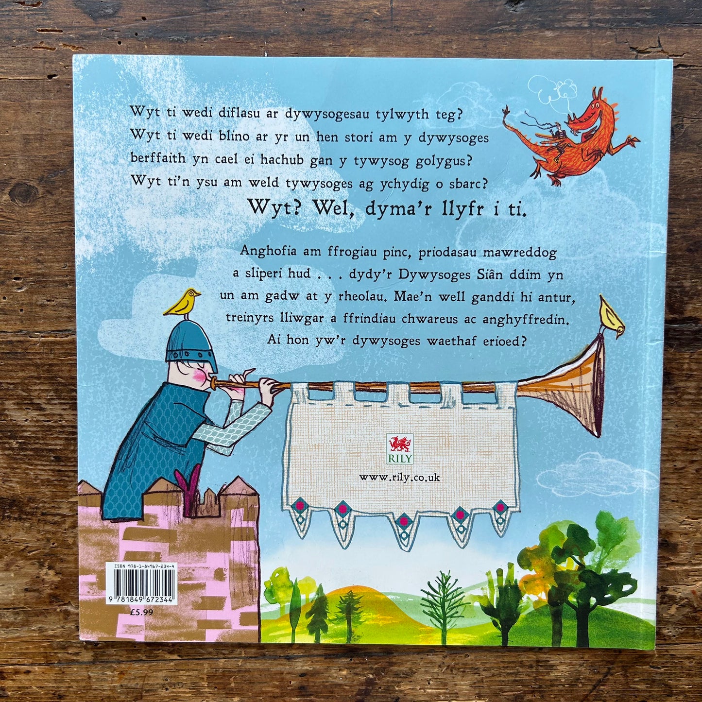 Y Dywysoges Waethaf - Anna Kemp a Sara Ogilvie (Preloved)