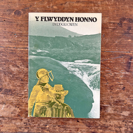 Y Flwyddyn Honno - Dyddgu Owen (Preloved)