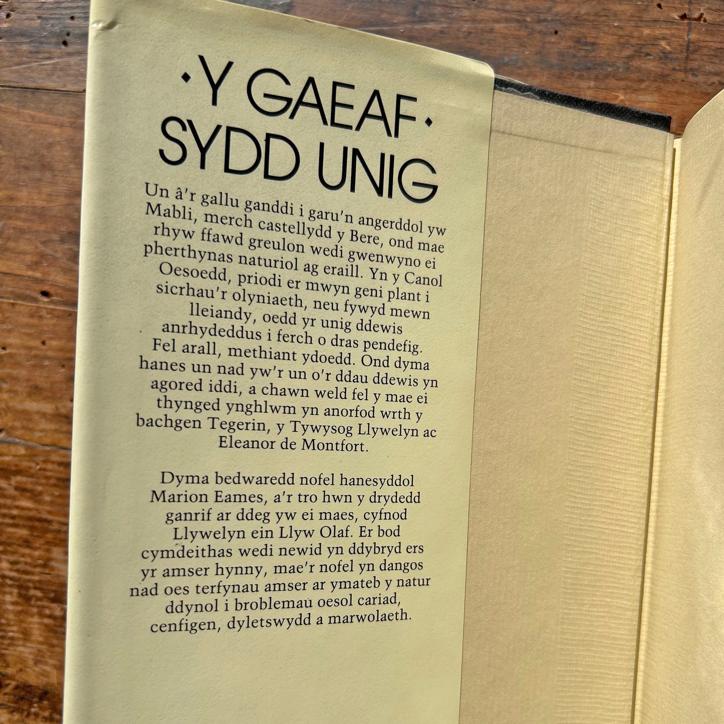 Y Gaef Sydd Unig - Marion Eames 1982 (Preloved)