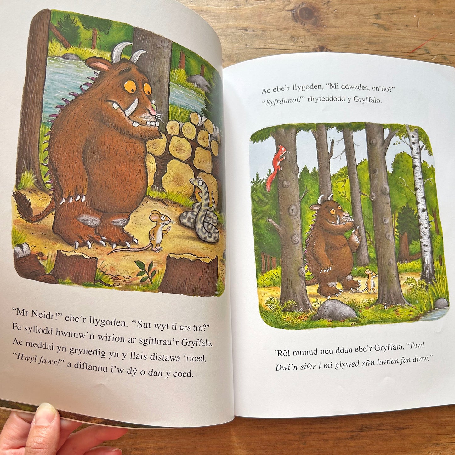 Y Gryffalo - The Gruffalo - Julia Donaldson (Preloved)