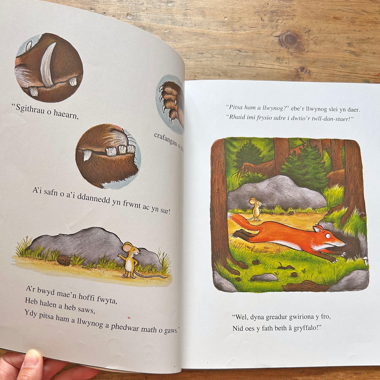 Y Gryffalo - The Gruffalo - Julia Donaldson (Preloved)
