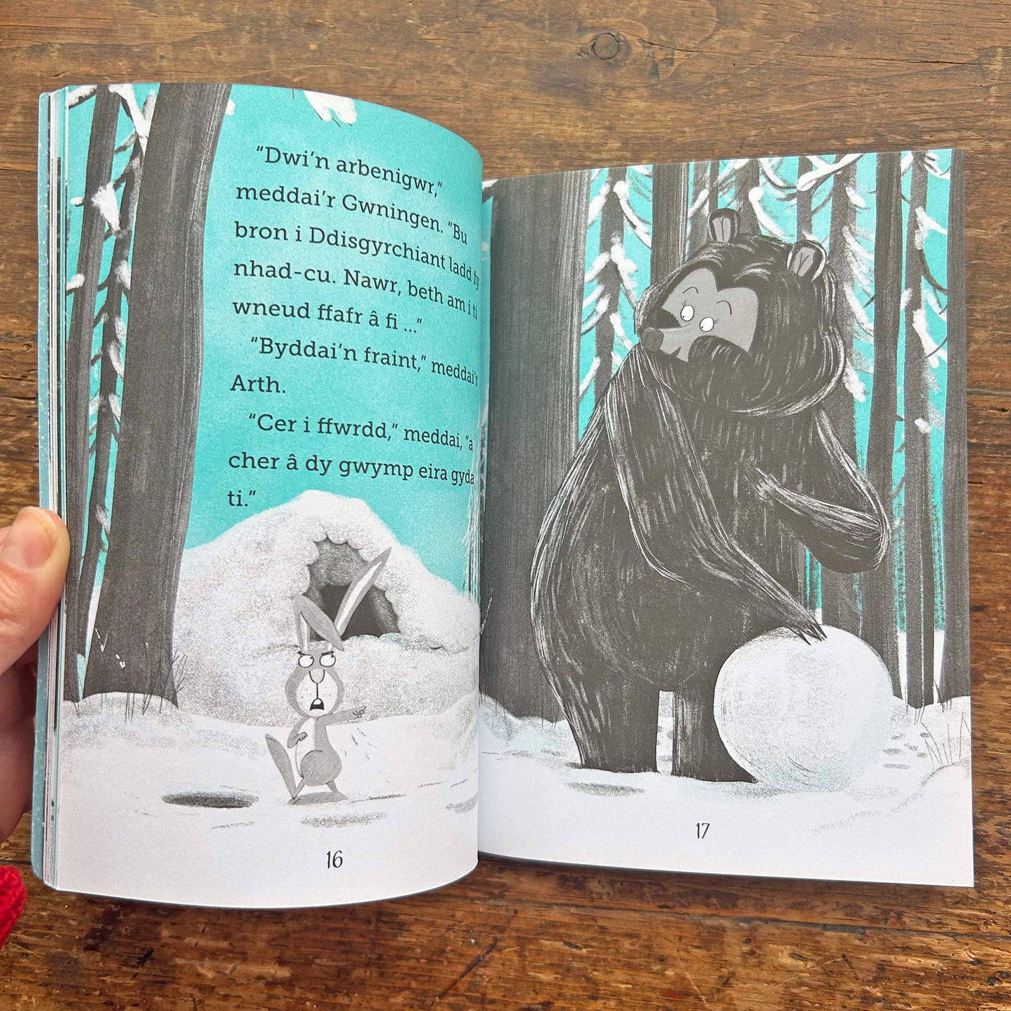 Y Gwningen a'r Arth - Arferion od Cwningod (Preloved)