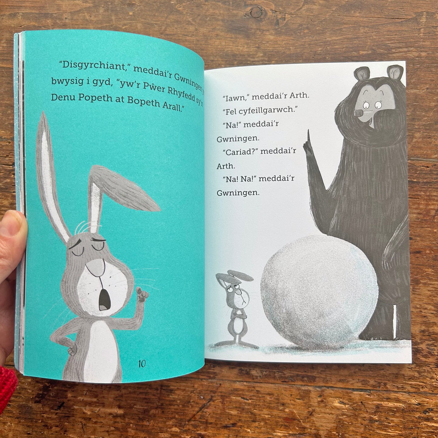 Y Gwningen a'r Arth - Arferion od Cwningod (Preloved)