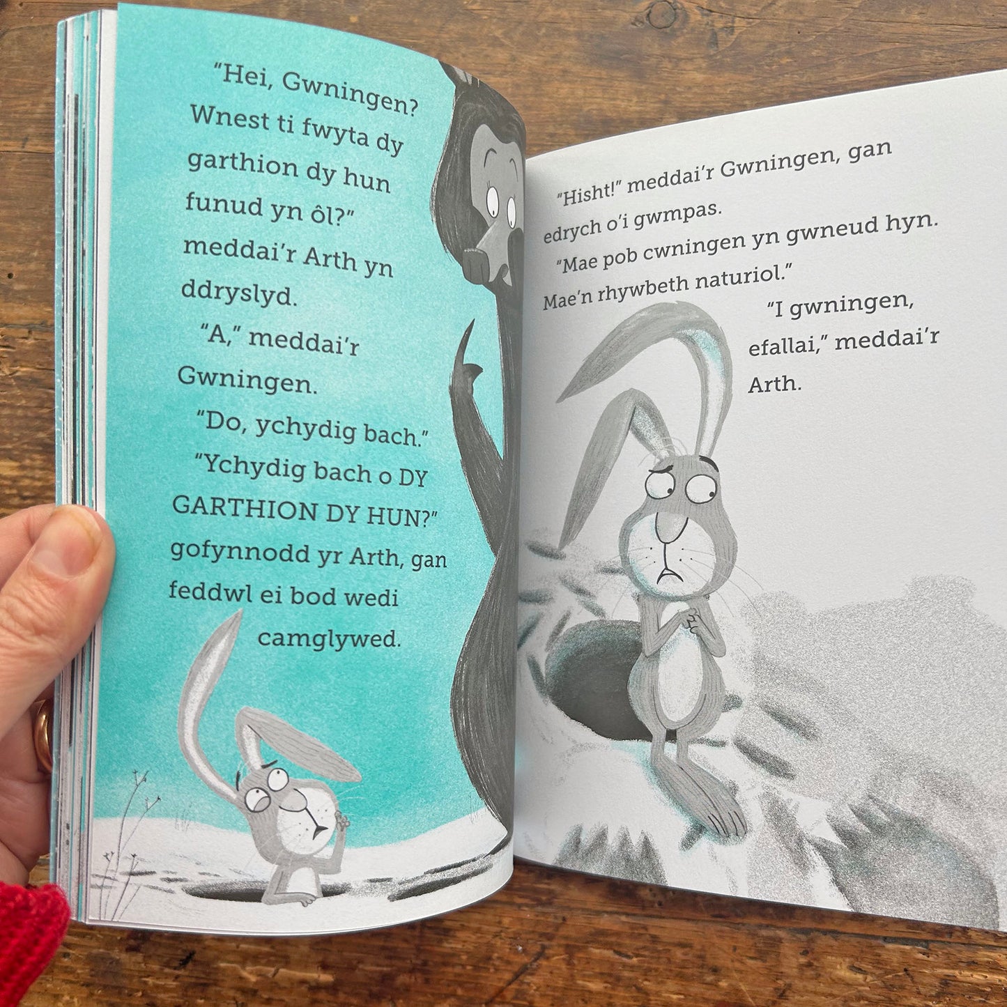 Y Gwningen a'r Arth - Arferion od Cwningod (Preloved)