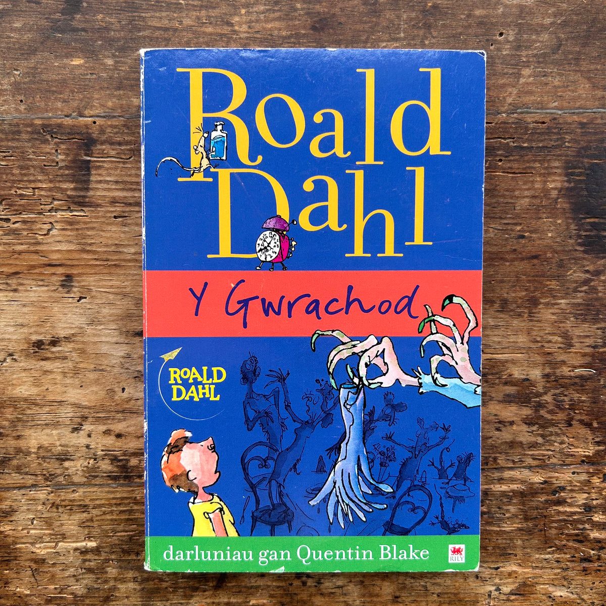 Y Gwrachod / The Witches - Roald Dahl (Preloved)
