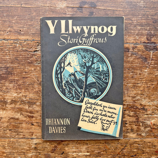 Y Llwynog - Stori Gyffrous - Rhiannon Davies (Preloved)