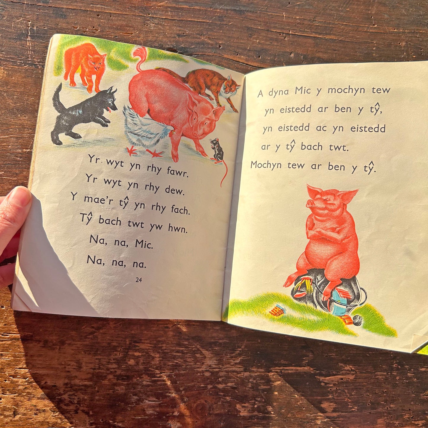 Y Llyfr Coch - E.R. Boyce - Vintage Welsh Book 1965 (Preloved)