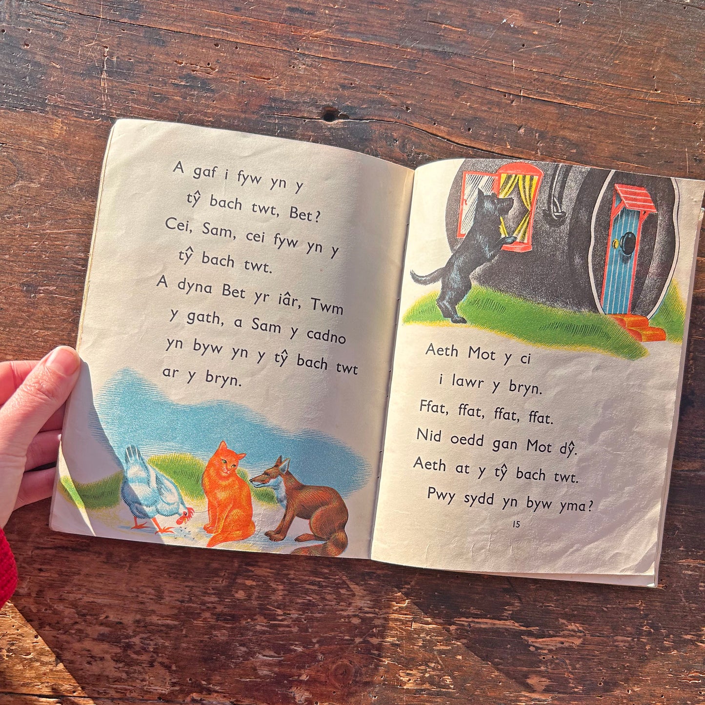 Y Llyfr Coch - E.R. Boyce - Vintage Welsh Book 1965 (Preloved)