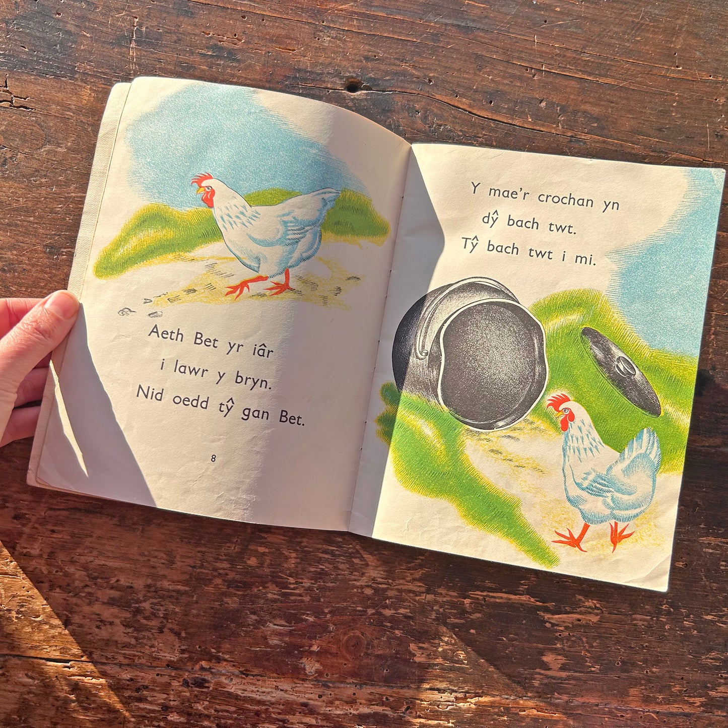 Y Llyfr Coch - E.R. Boyce - Vintage Welsh Book 1965 (Preloved)