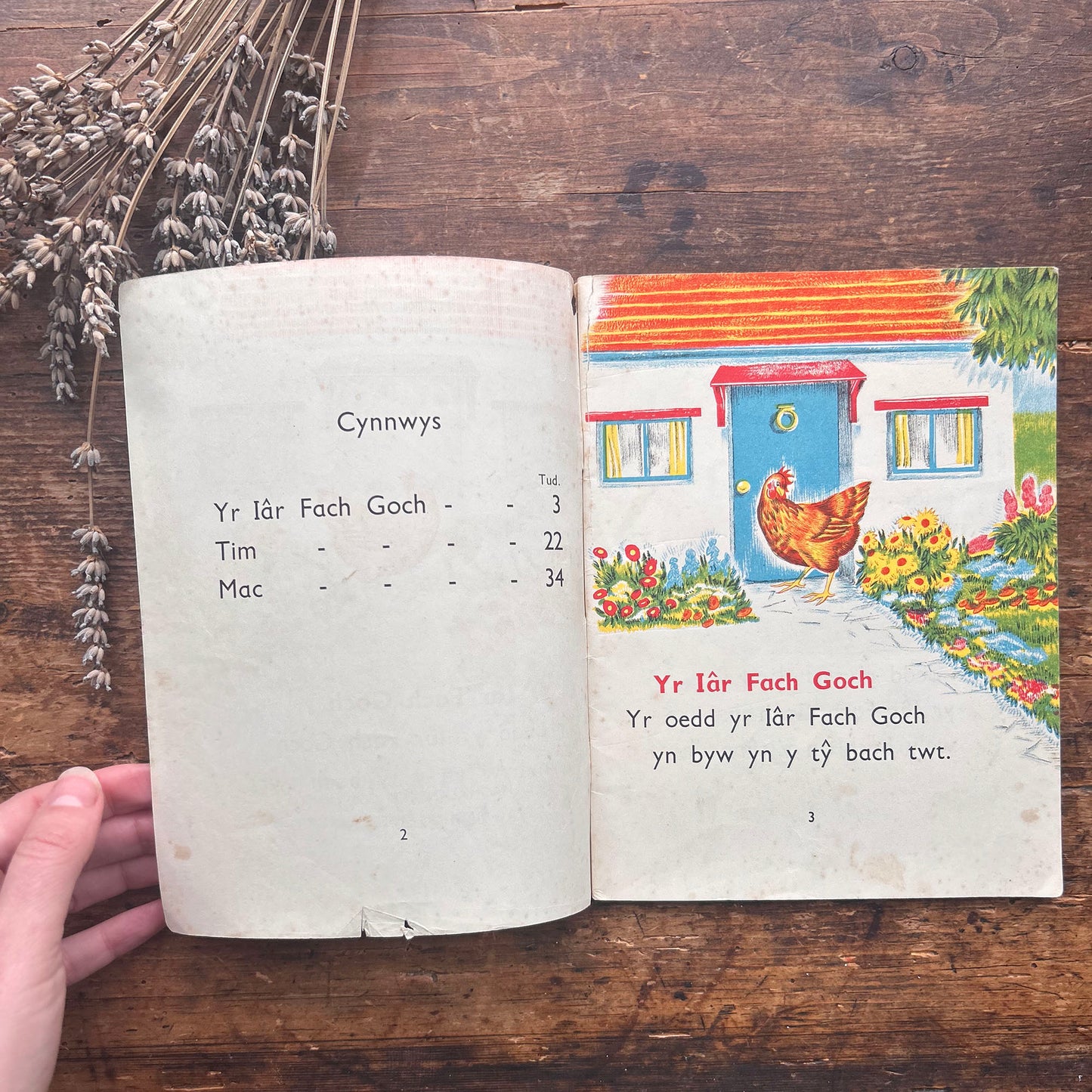 Y Llyfr Gwyrdd - E. R. Boyce - 1953 (Preloved)