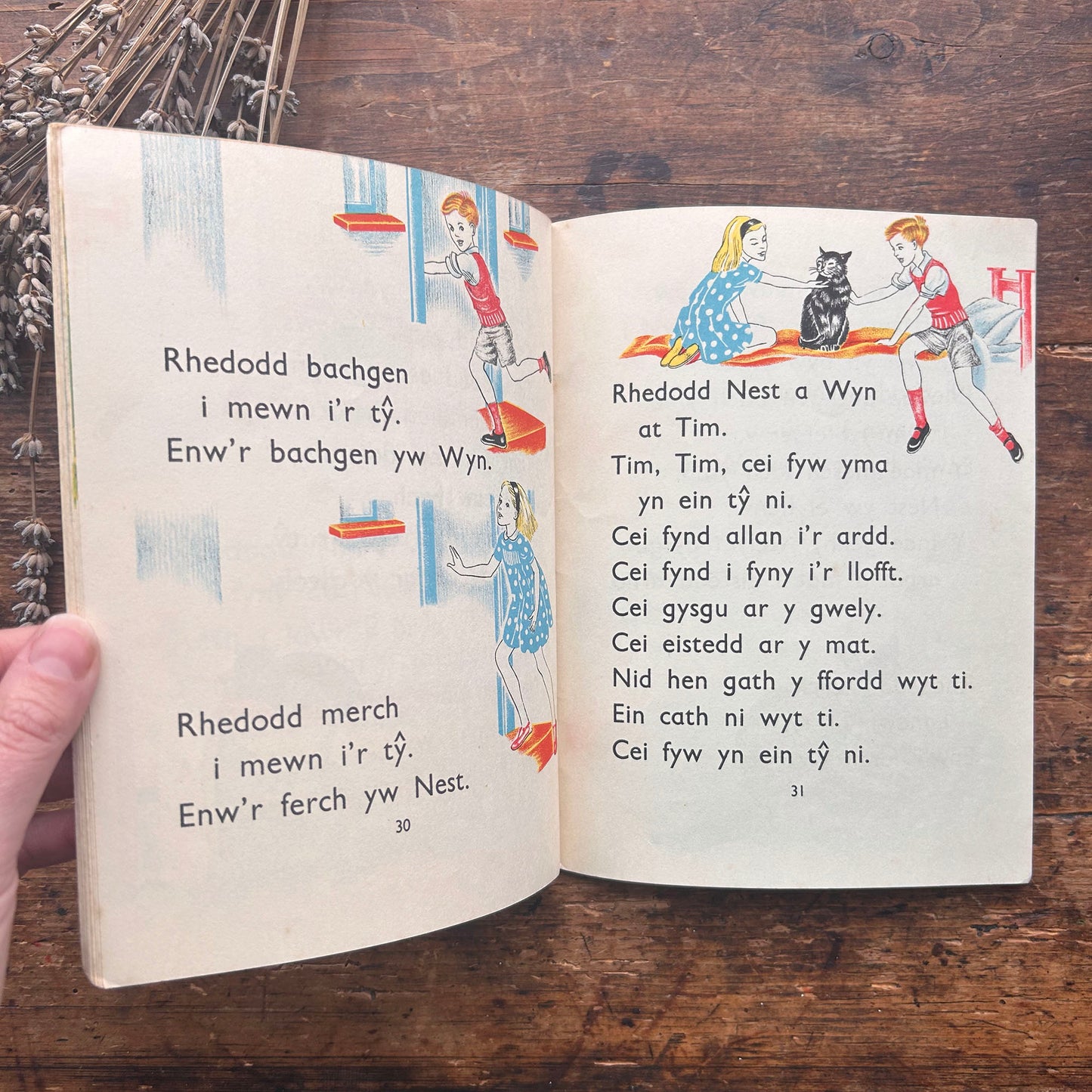 Y Llyfr Gwyrdd - E. R. Boyce - 1953 (Preloved)