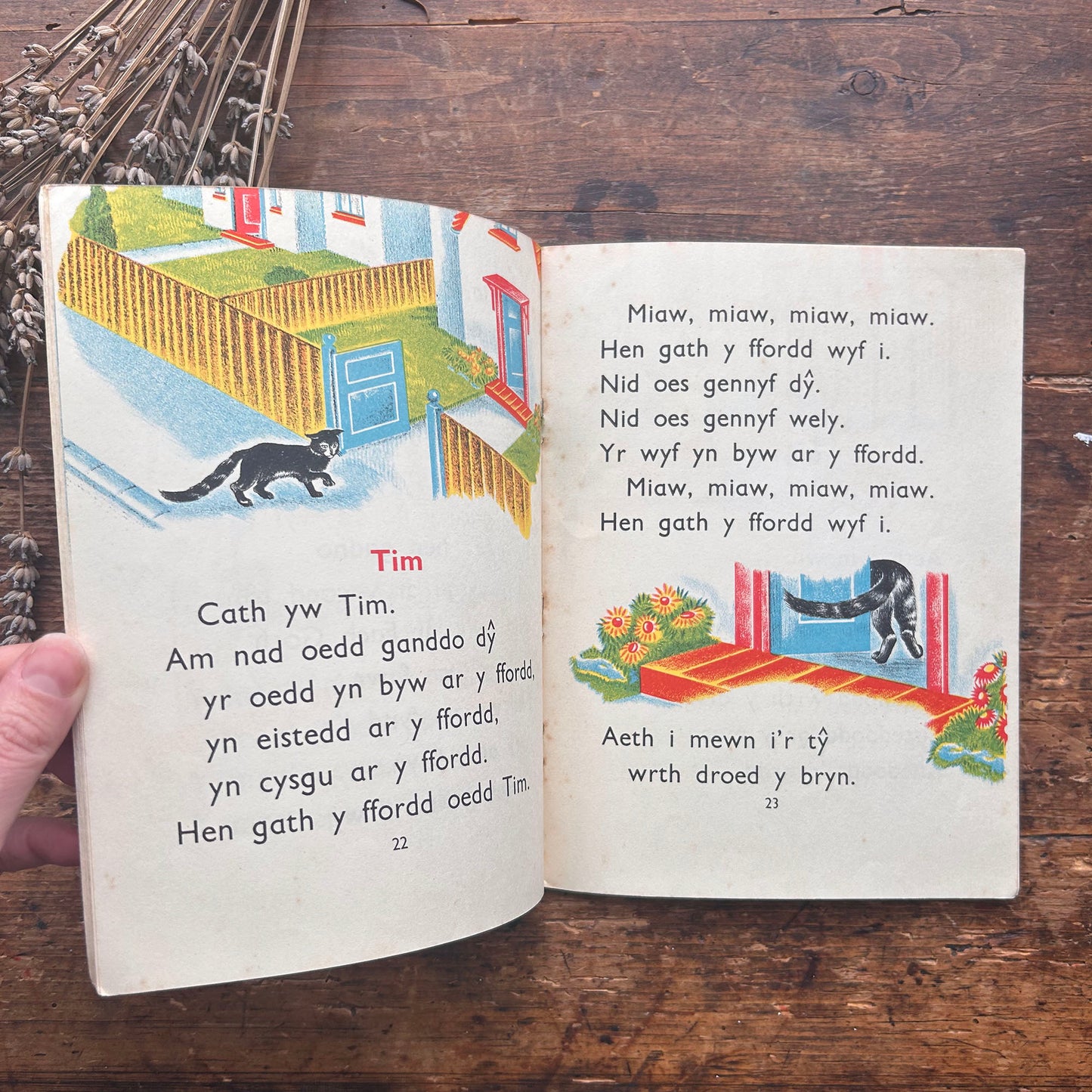 Y Llyfr Gwyrdd - E. R. Boyce - 1953 (Preloved)