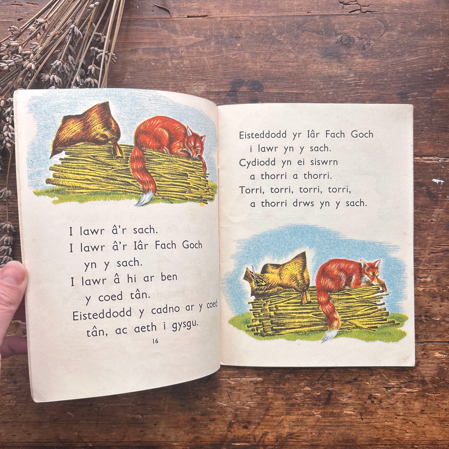 Y Llyfr Gwyrdd - E. R. Boyce - 1953 (Preloved)