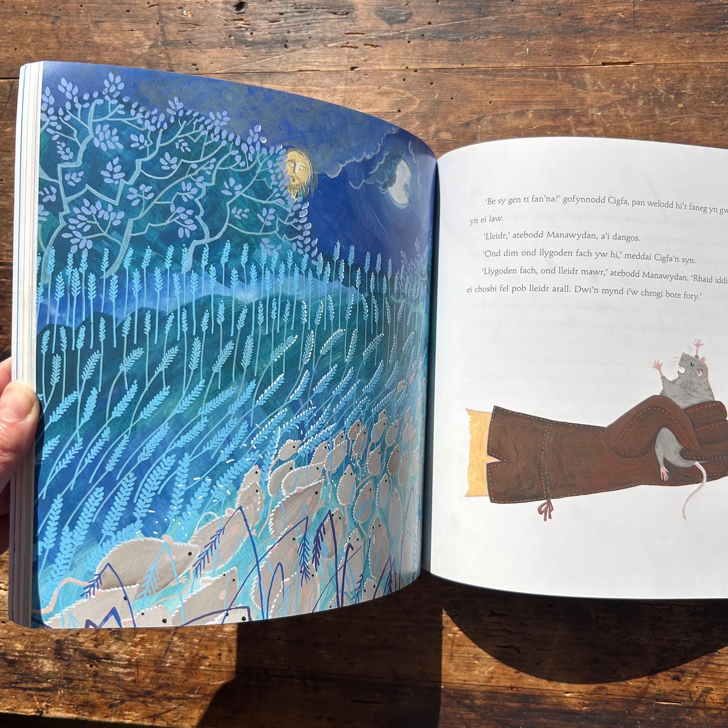 Y Mabinogi - Sian Lewis & Vaeriane Leblond (Preloved)