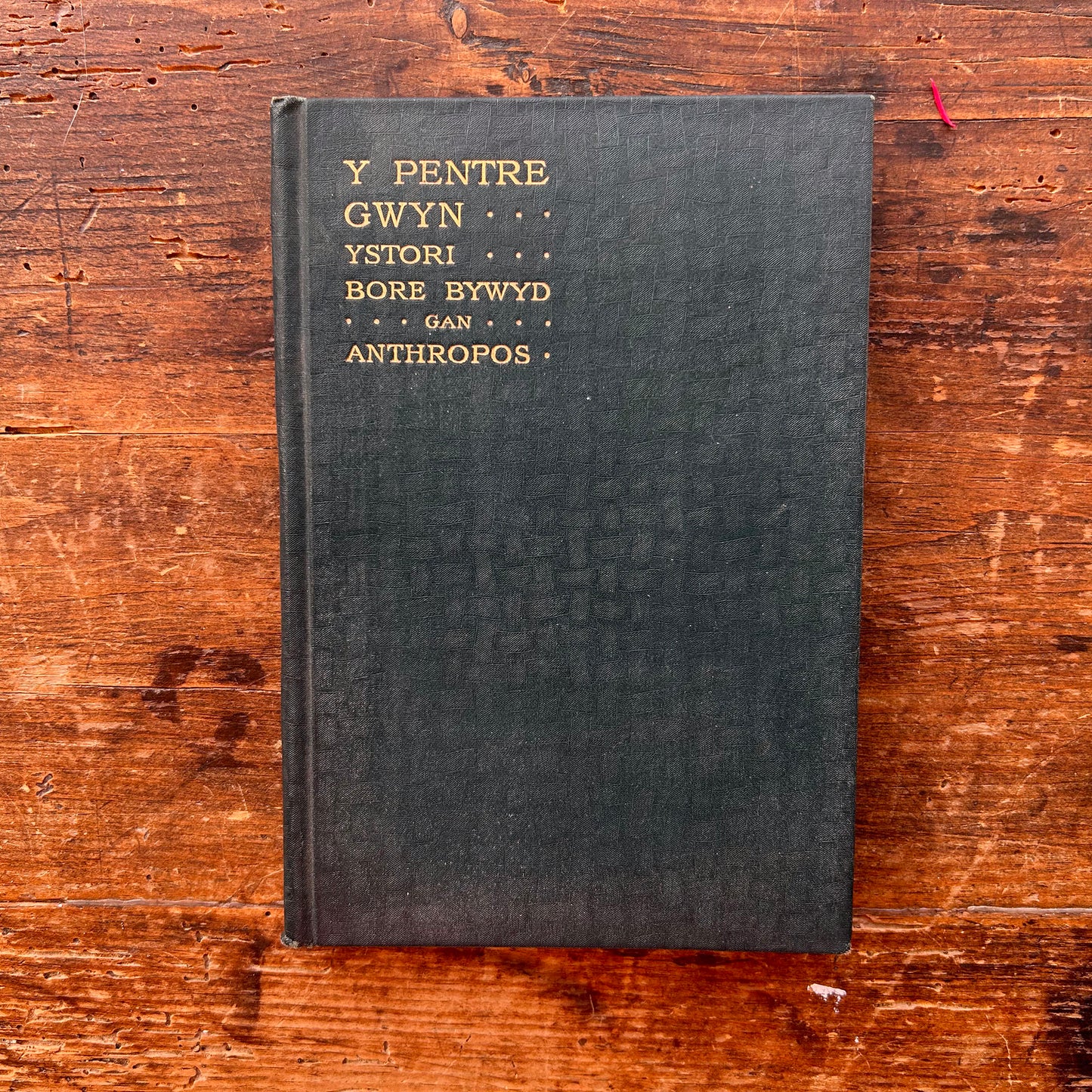 Y Pentre Gwyn Ystori Bore Bywyd -  Anthropos - 1909 1st edition (Preloved)
