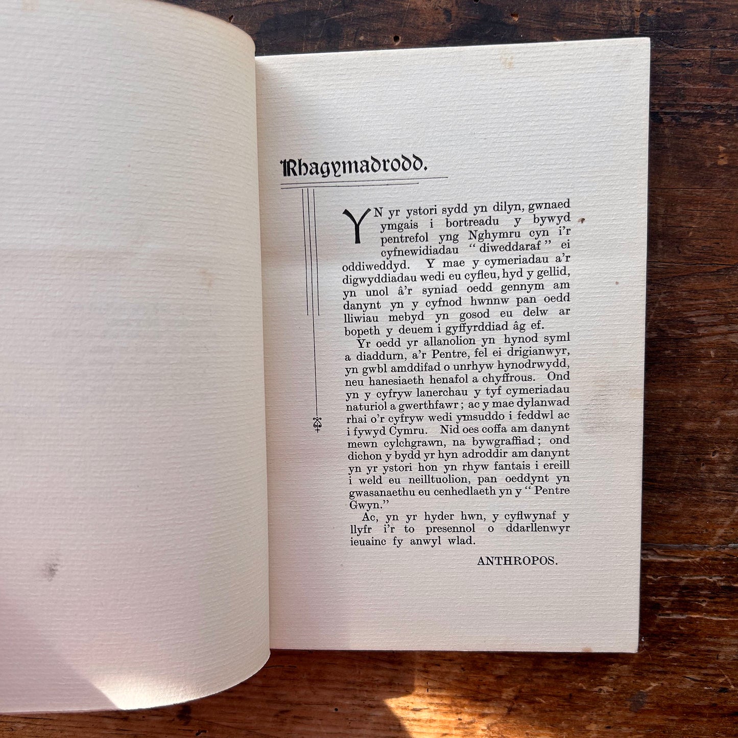 Y Pentre Gwyn Ystori Bore Bywyd -  Anthropos - 1909 1st edition (Preloved)