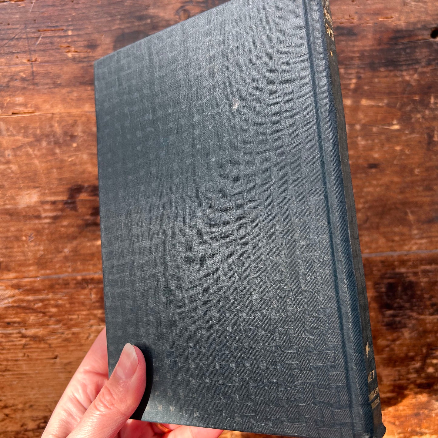 Y Pentre Gwyn Ystori Bore Bywyd -  Anthropos - 1909 1st edition (Preloved)