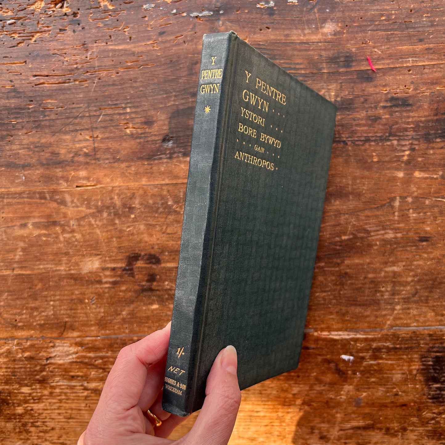 Y Pentre Gwyn Ystori Bore Bywyd -  Anthropos - 1909 1st edition (Preloved)