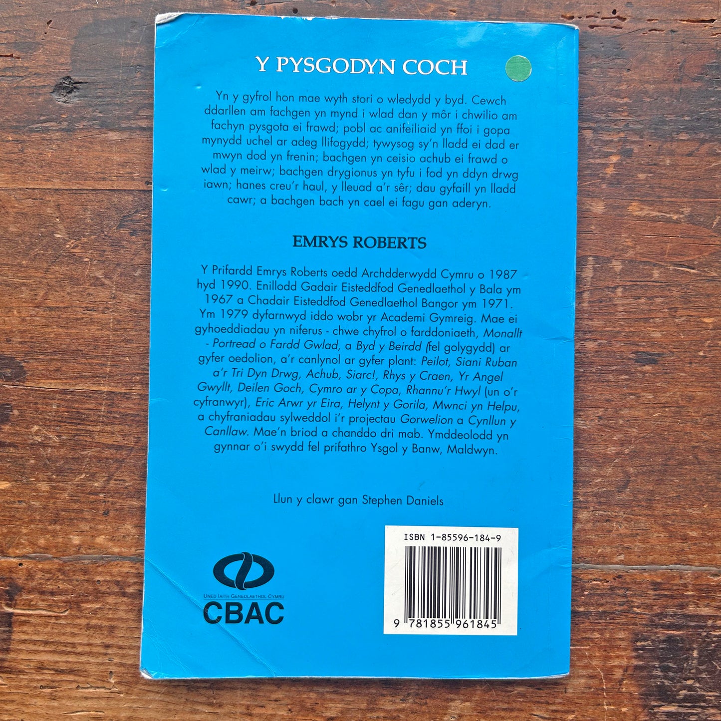 Y Pysgoden Coch / The Red Fish (Preloved)