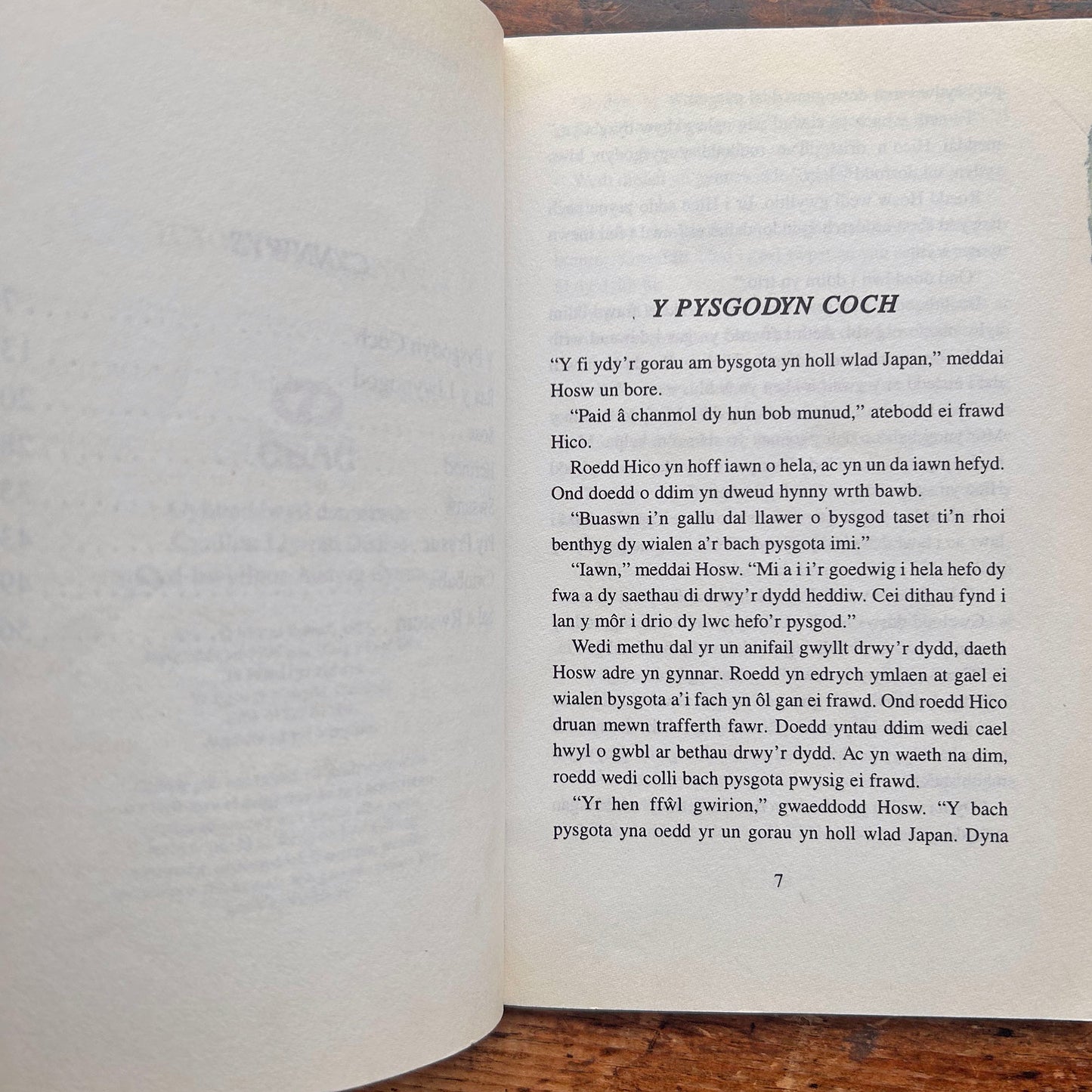 Y Pysgoden Coch / The Red Fish (Preloved)