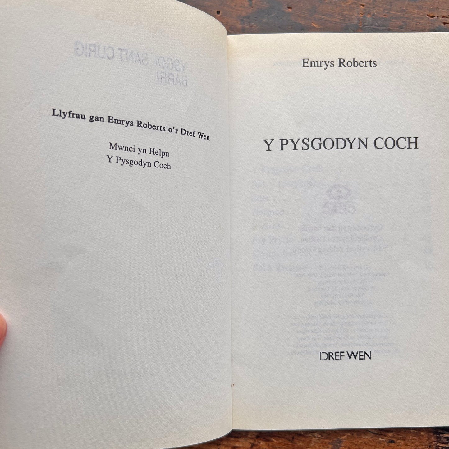 Y Pysgoden Coch / The Red Fish (Preloved)