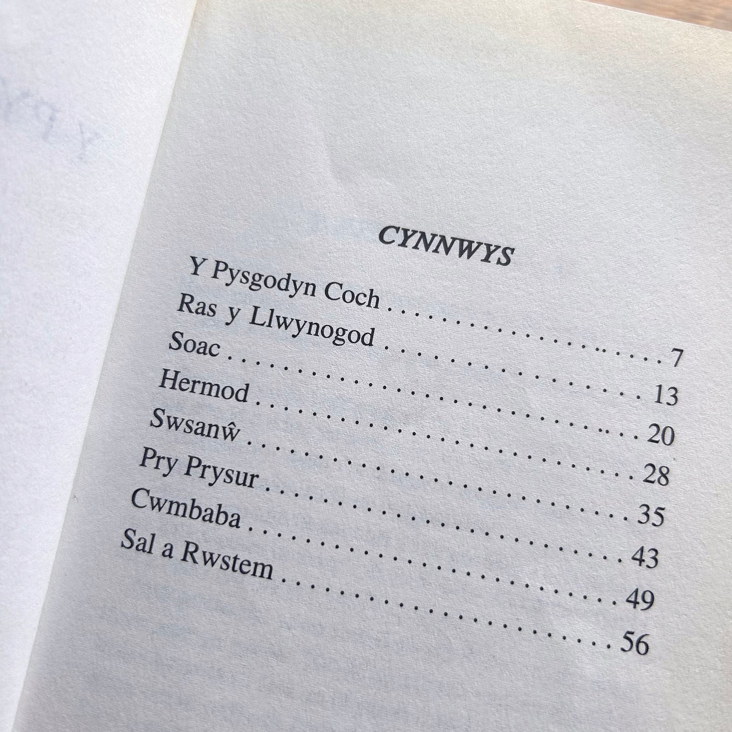 Y Pysgoden Coch / The Red Fish (Preloved)