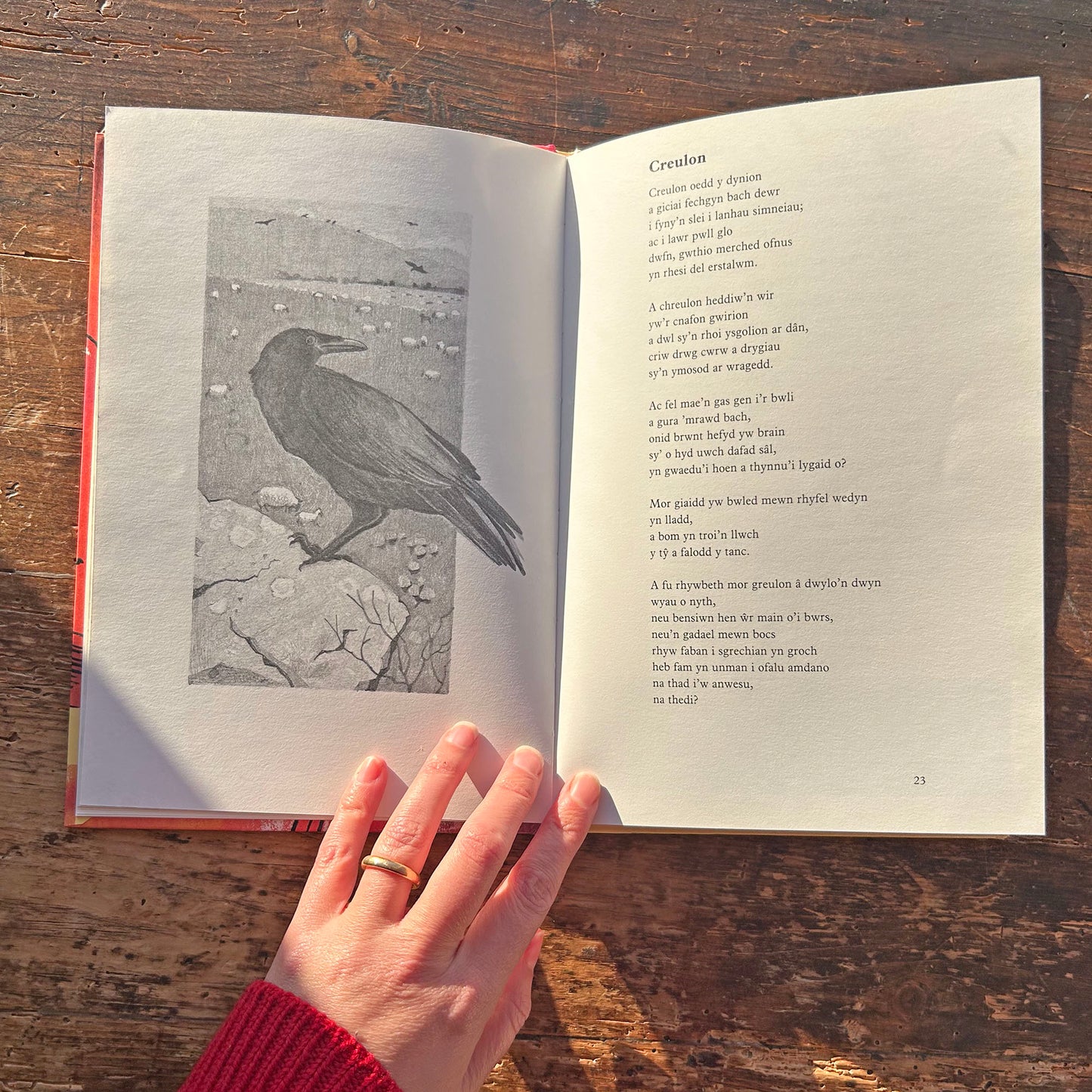 Y Sgip a Cherddi Eraill - Emrys Roberts (Preloved)