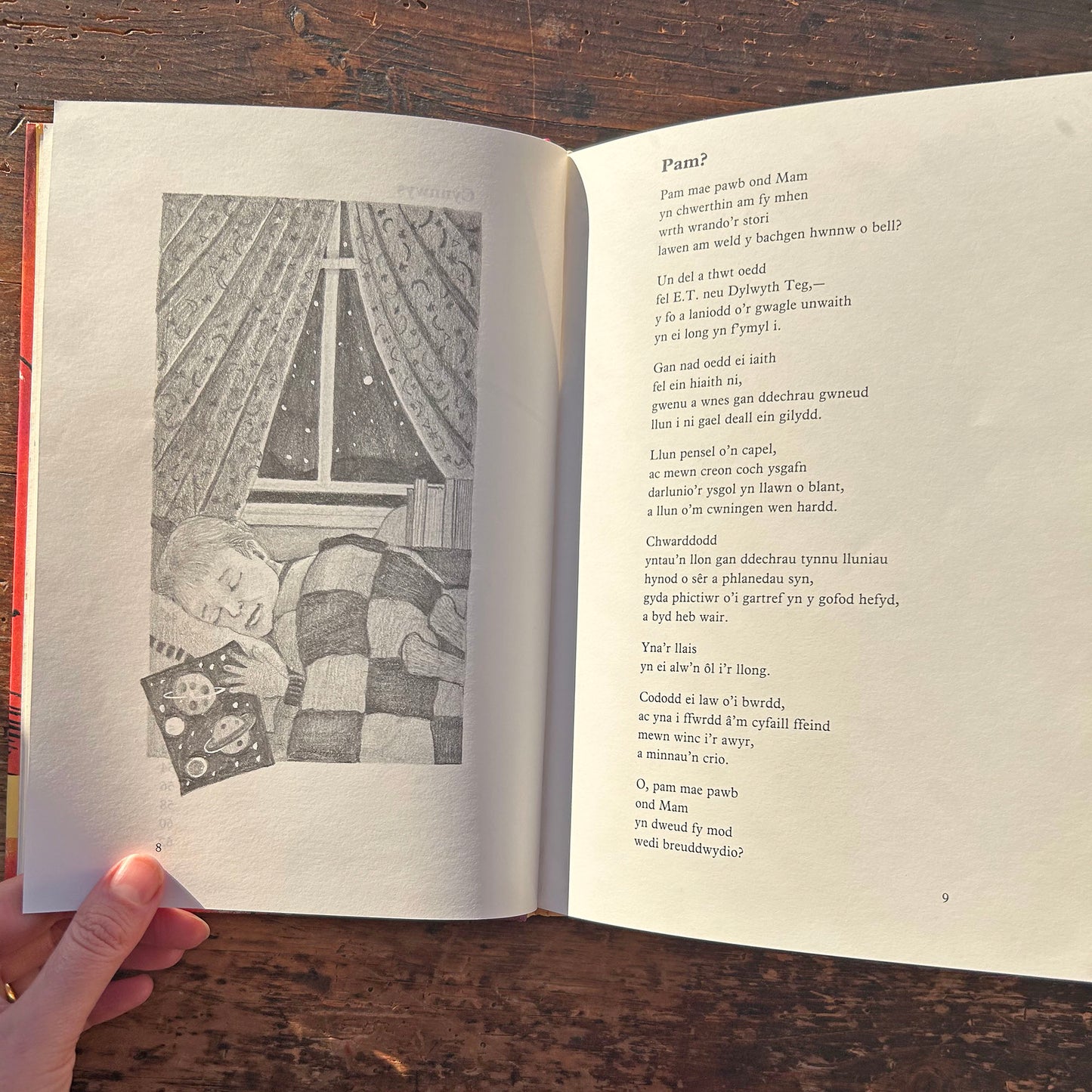 Y Sgip a Cherddi Eraill - Emrys Roberts (Preloved)